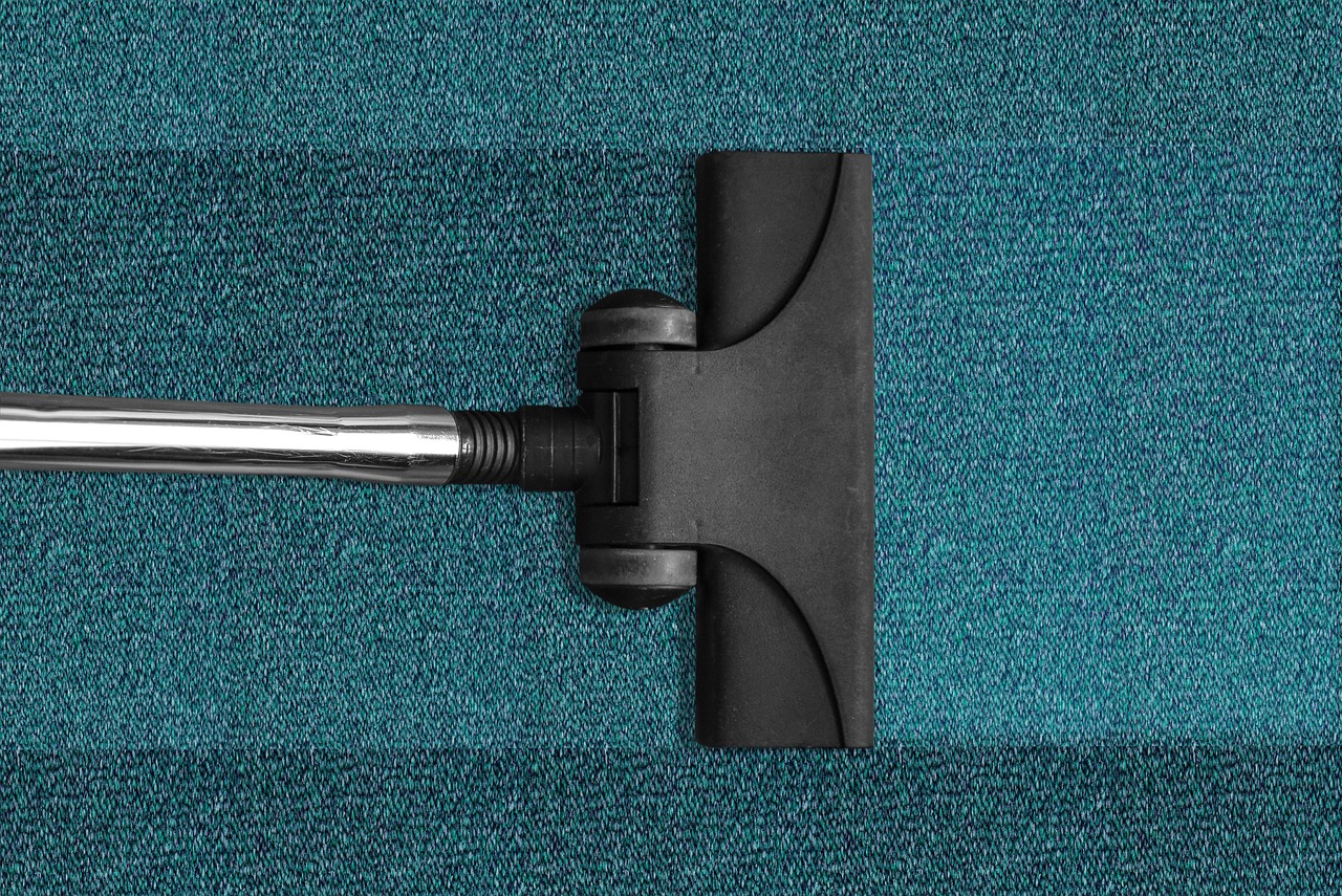 Carpet Cleaning Process in Sarasota