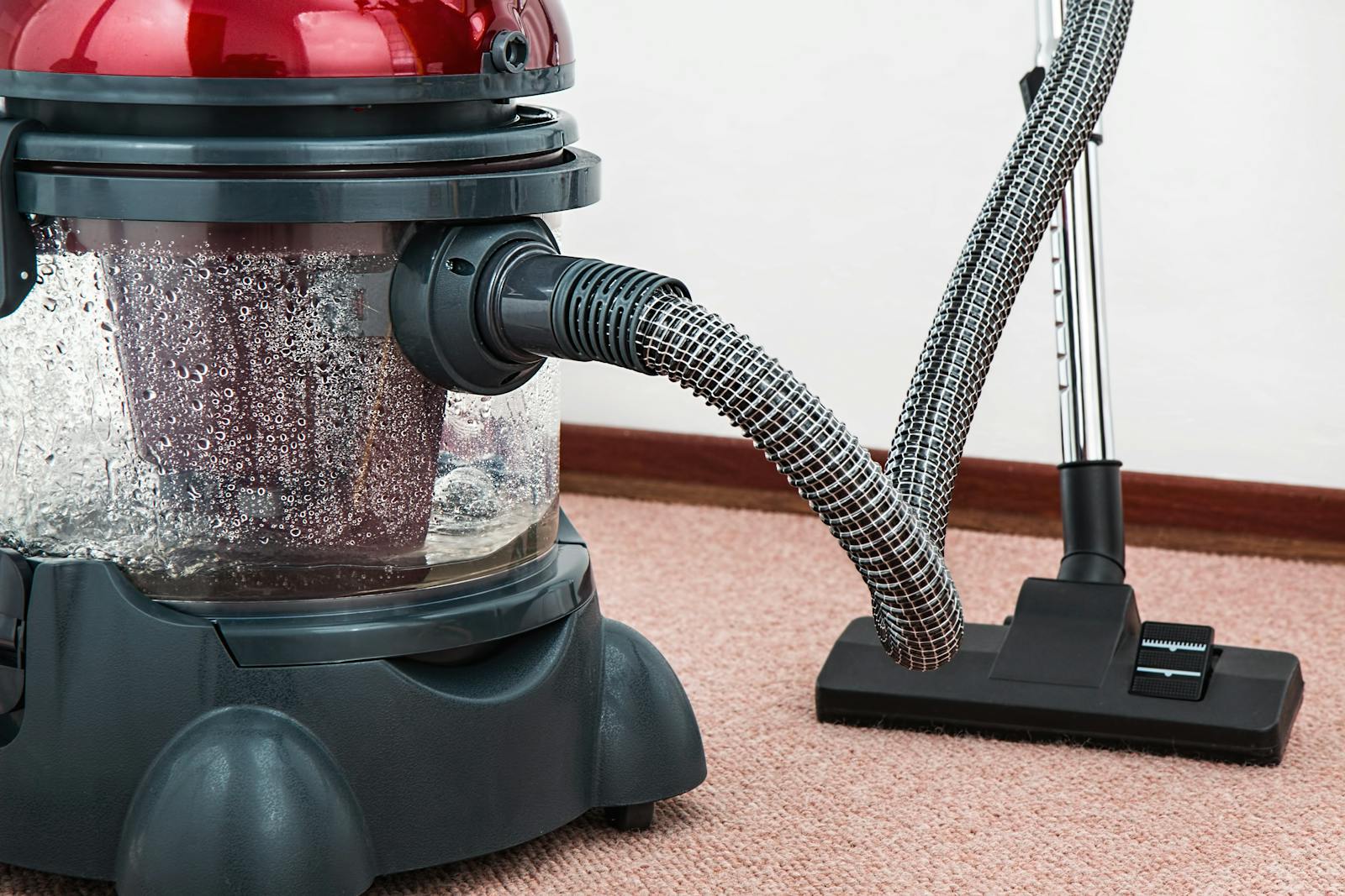 Carpet Cleaning Services in Sarasota