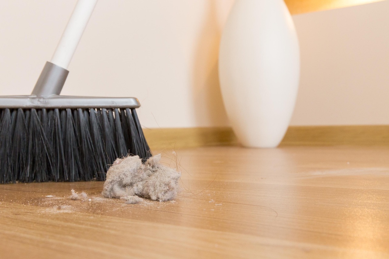 broom, dirt, dust, clump, garbage, house, indoors, interior, working, ball, besom, brooming, chaos, chores, clean, cleaning, domestic, broom, broom, broom, dust, dust, dust, dust, dust, clump, chores, chores, chores, chores, chores, cleaning