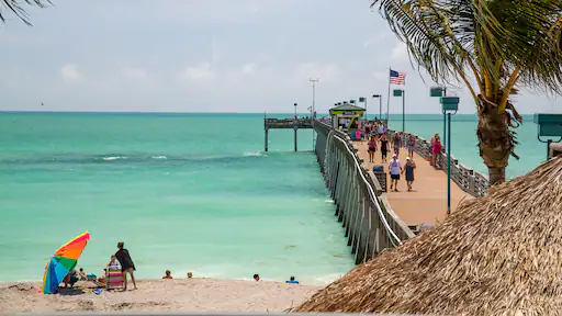 495907-south-florida